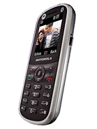 Best available price of Motorola WX288 in Mauritius