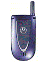 Best available price of Motorola V66i in Mauritius
